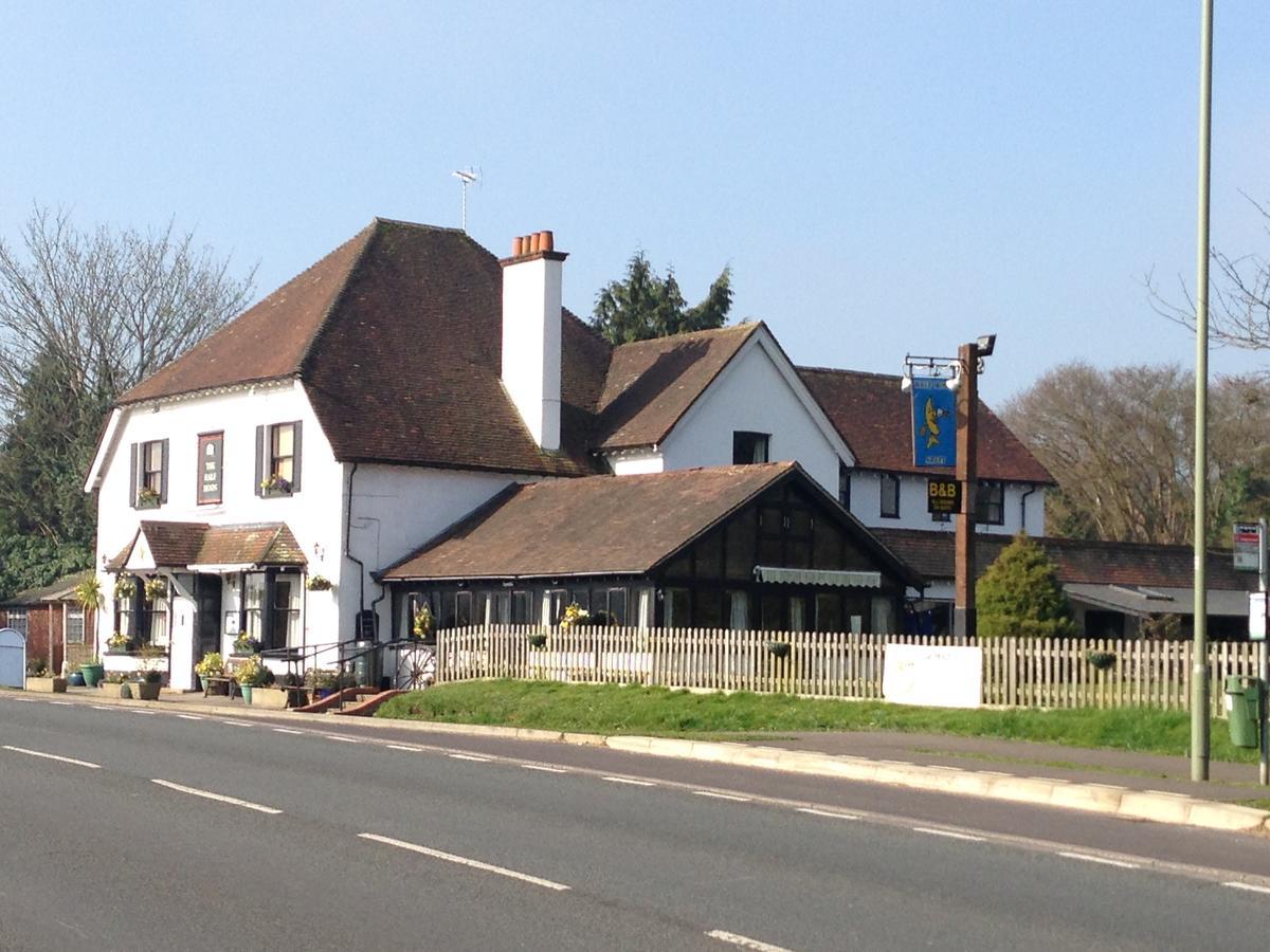 The Half Moon Hotel Petersfield Exterior photo